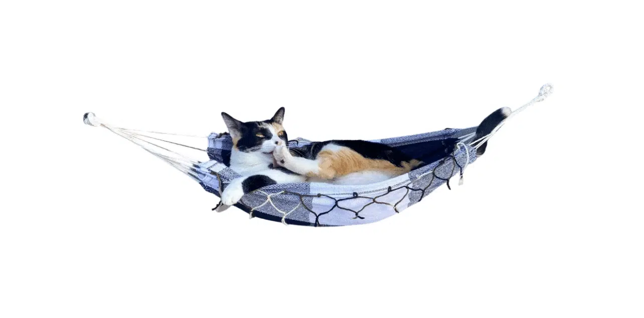 Rede para Gatos (65cm)