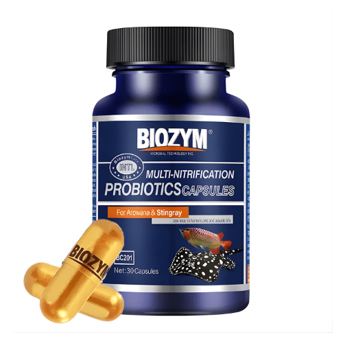 Acelerador Biológico Biozym | Unitário