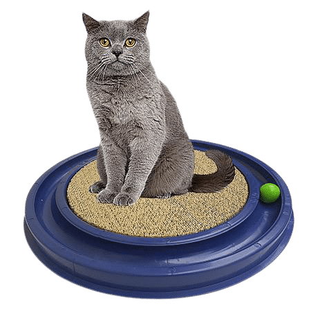Brinquedo Cat Pet Azul - Imagem 2