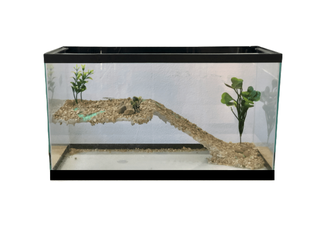 Terrário com Plataforma (30cm x 15cm x 20cm)