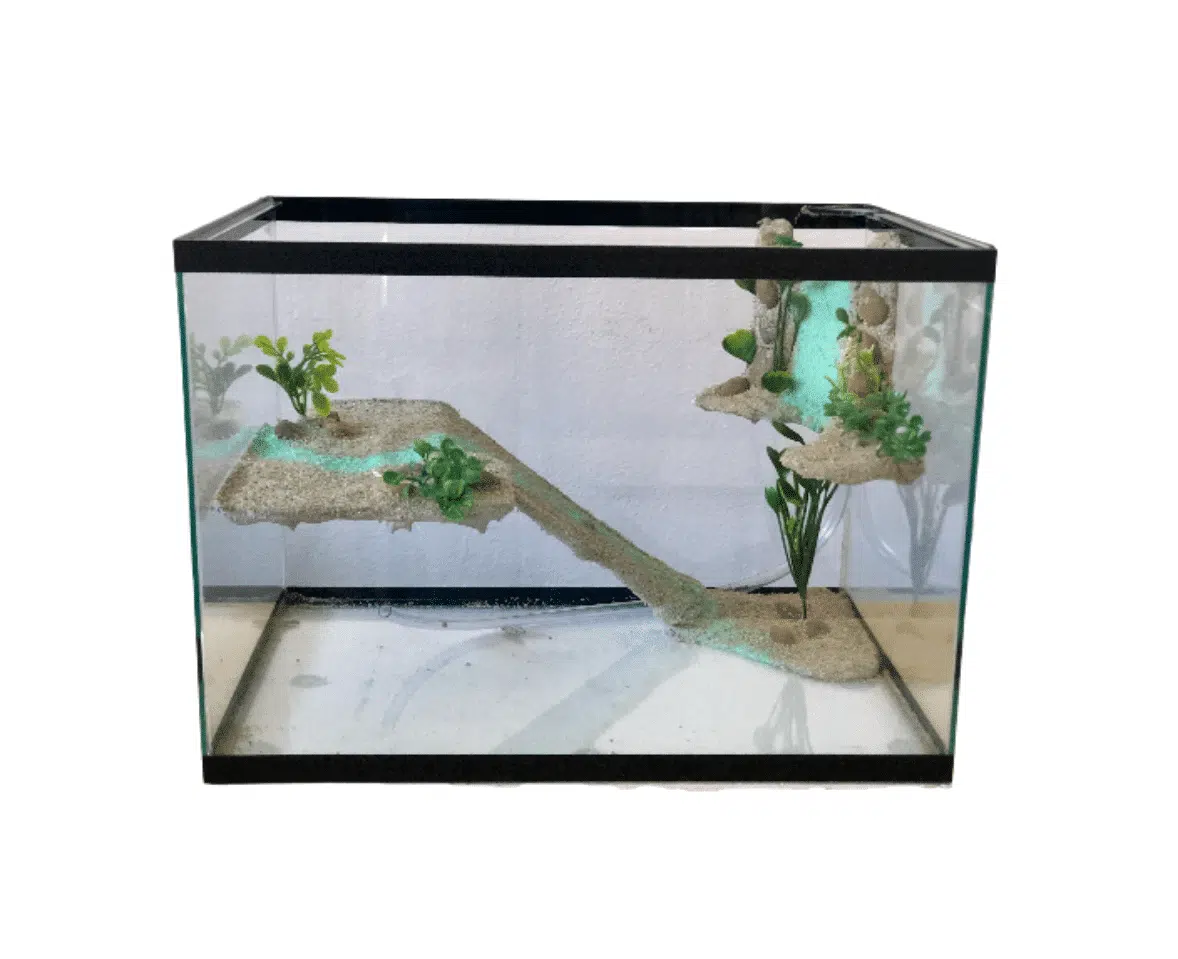 Terrário com Cascata (40cm x 25cm x 30cm)