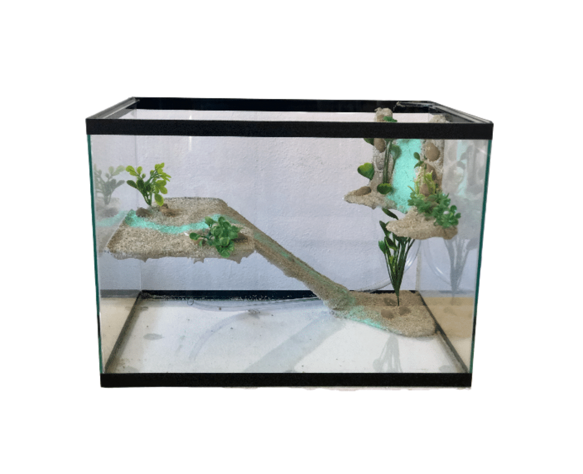 Terrário com Cascata (50cm x 25cm x 35cm)