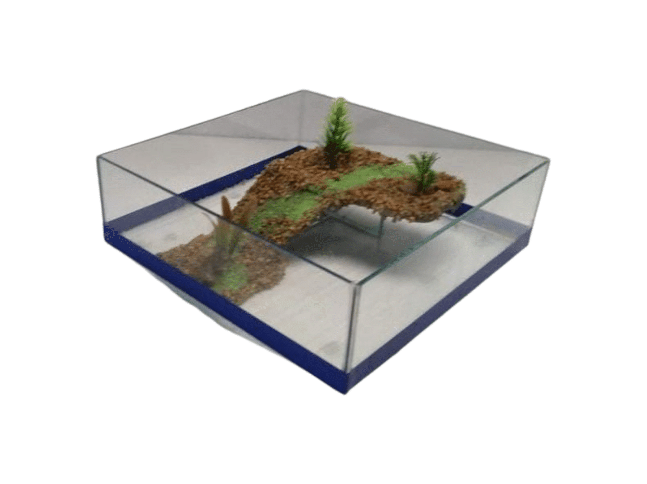 Terrário Raso (22cm x 22cm x 7cm)