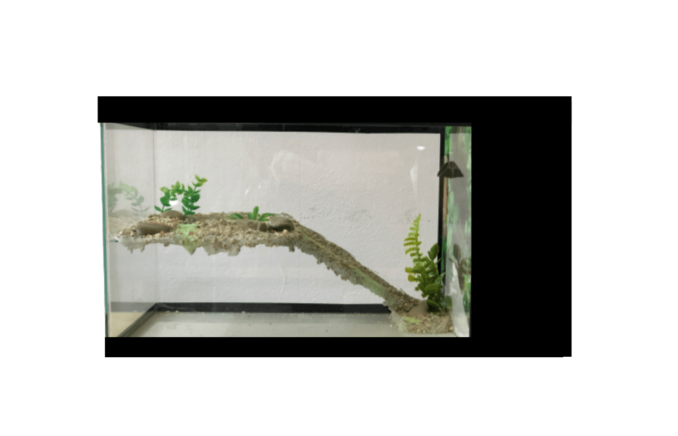 Terrário com Sistema de Filtragem (50cm x 25cm x 30cm)