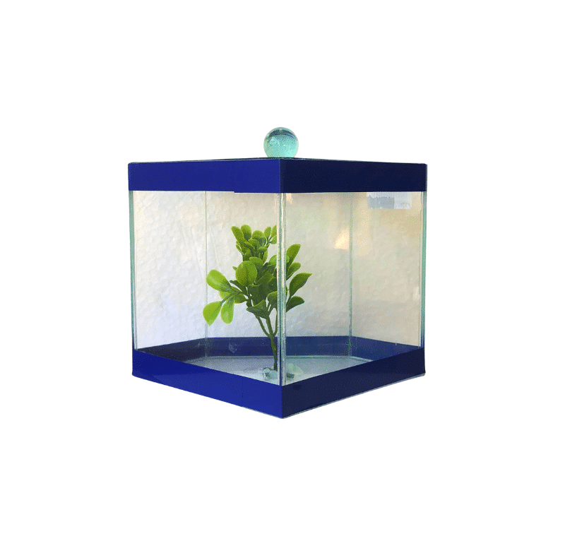 Beteira Cristal Baixa (12,5cm x 12,5cm)