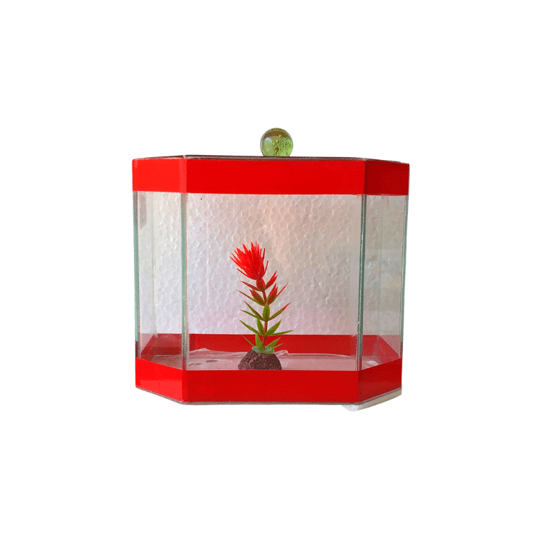 Beteira Mini Lester Baixa (15cm x 10cm)