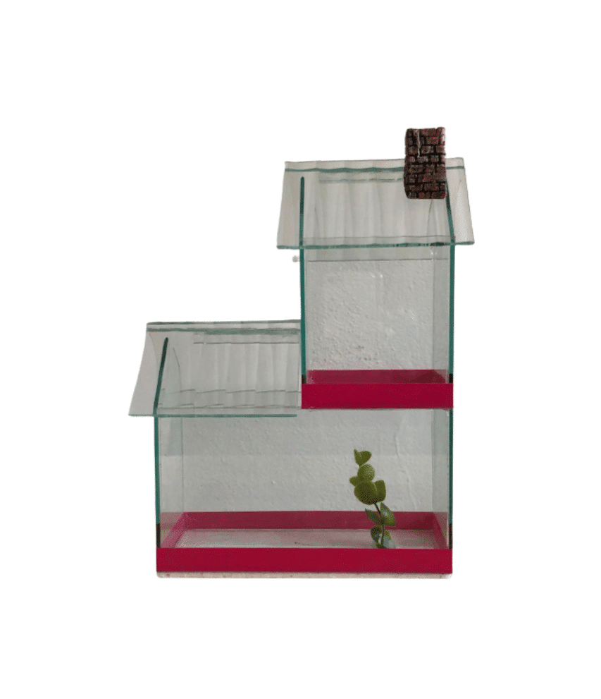 Beteira Casinha Dupla (20cm x 10cm x 30cm)
