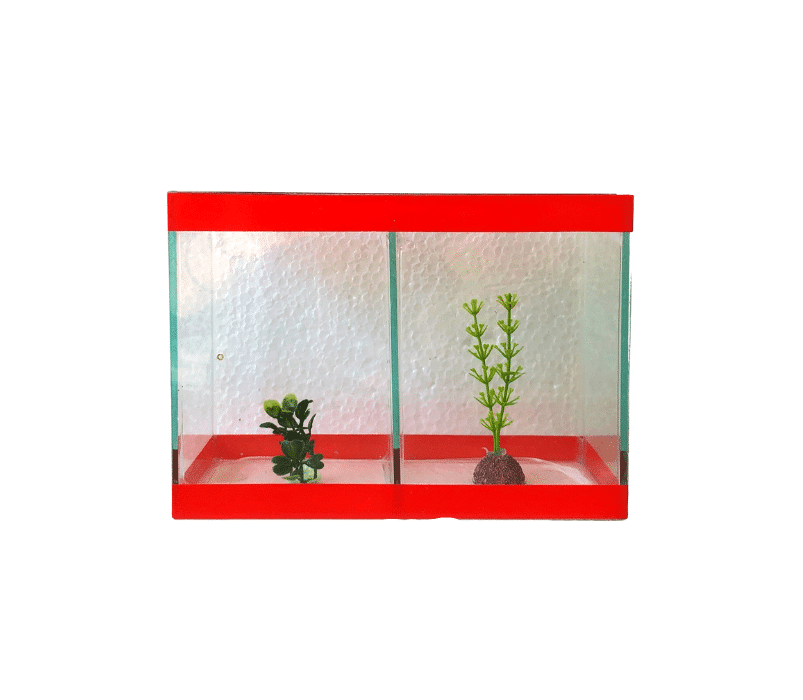 Beteira Dupla (20cm x 10cm x 15cm)