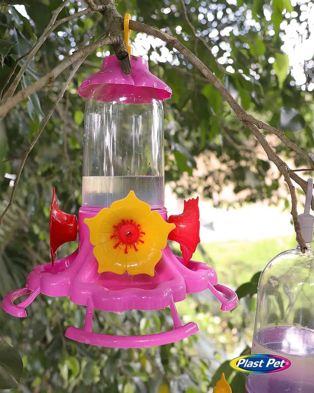 Bebedouro Beija-Flor POP com Chapéu | 260ml - Imagem 2
