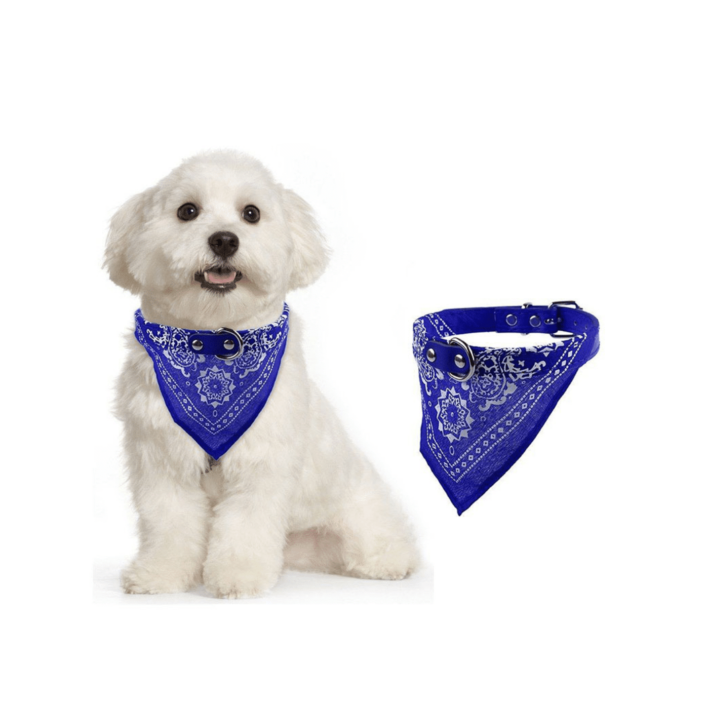 Coleira Bandana Colorida Média (39cm)