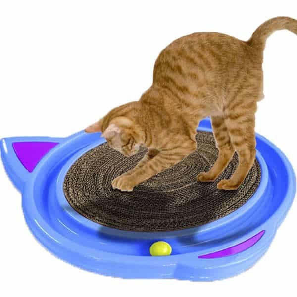 Brinquedo Cat Crazy Azul - Imagem 4