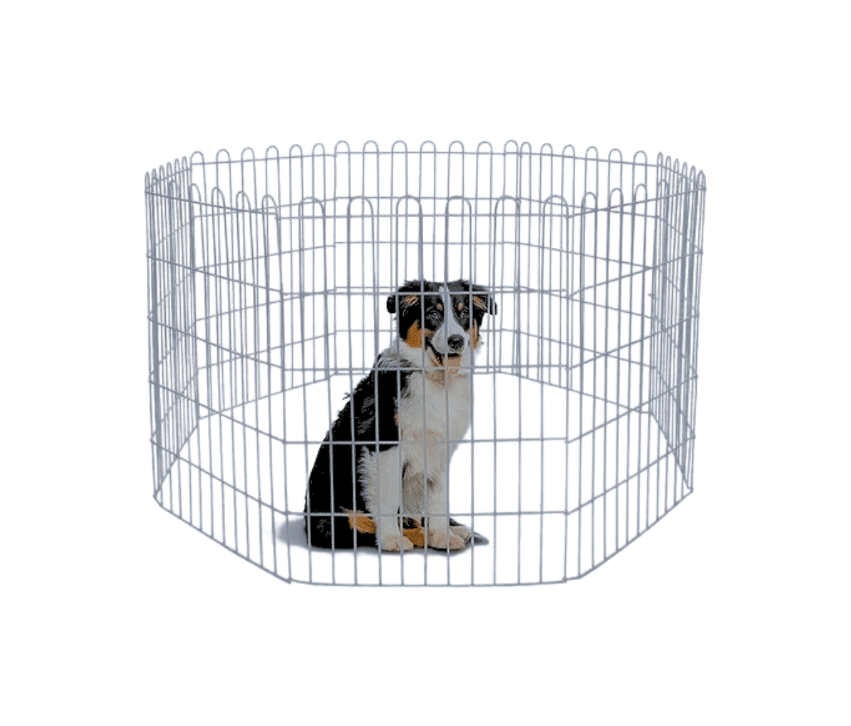 Cercadinho com Mola Galvanizado 8 peças (60cm x 60cm)