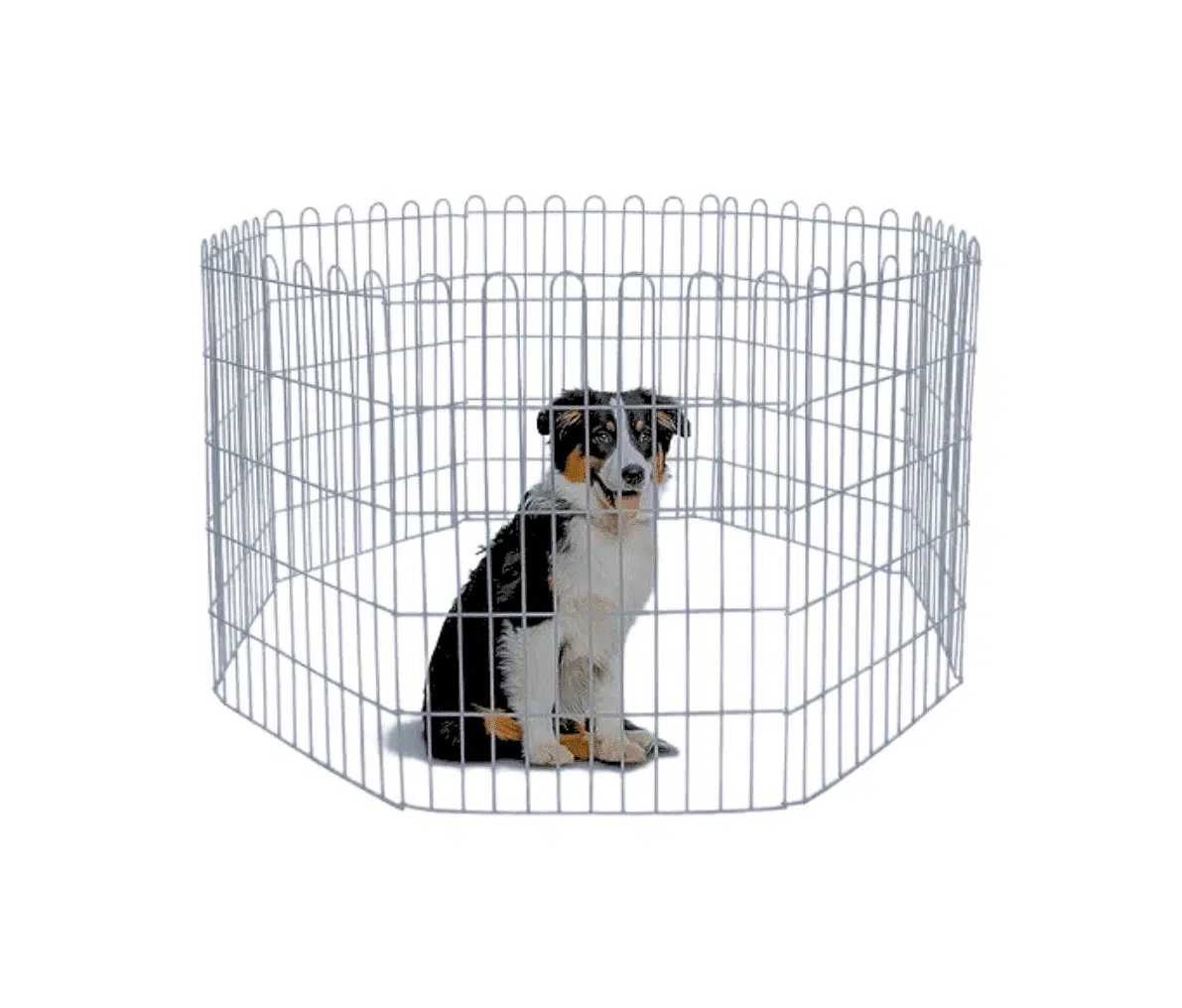 Cercadinho com Mola Galvanizado 8 peças (60cm x 60cm)
