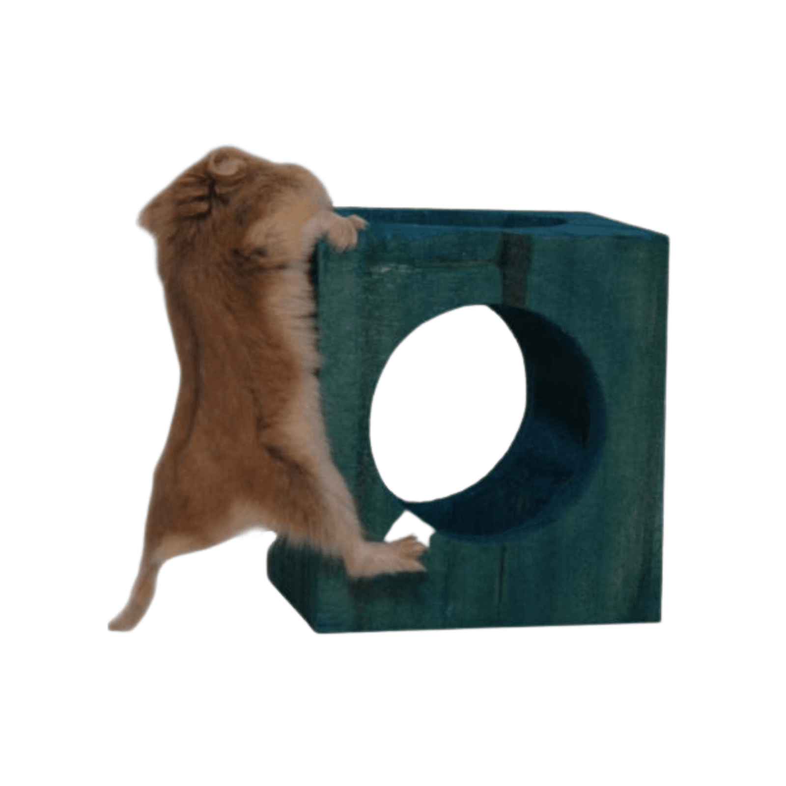 Brinquedo Cubo Play Mini (7cm x 6,5cm)