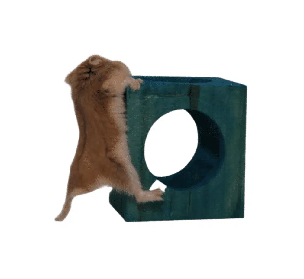 Brinquedo Roi Roi Roll (12cm x 5cm) - Imagem 8