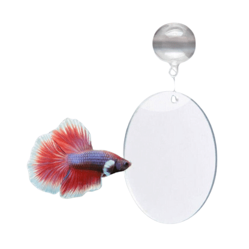 Espelho Flutuante Betta