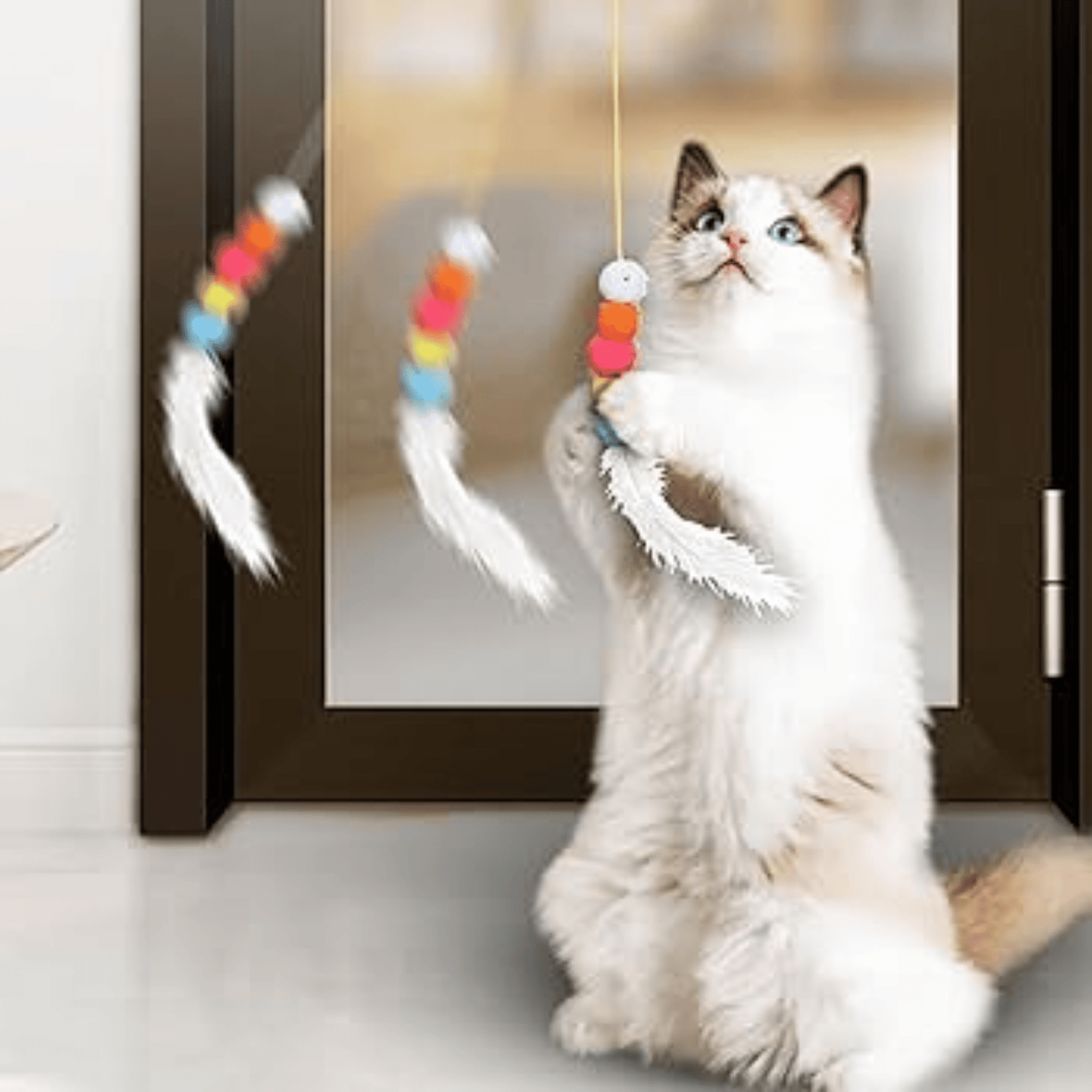 Elástico Divertido Cats - Imagem 2