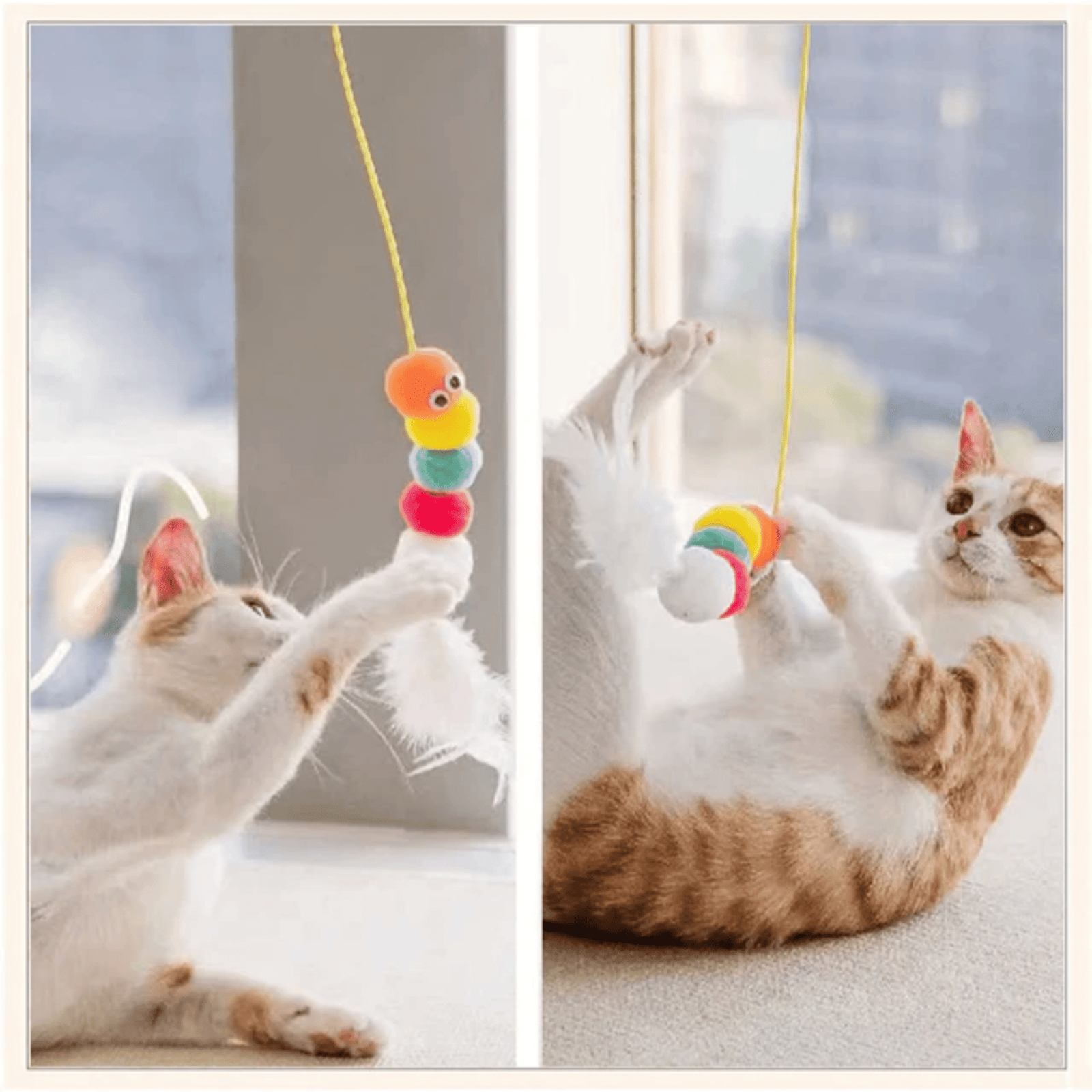 Elástico Divertido Cats