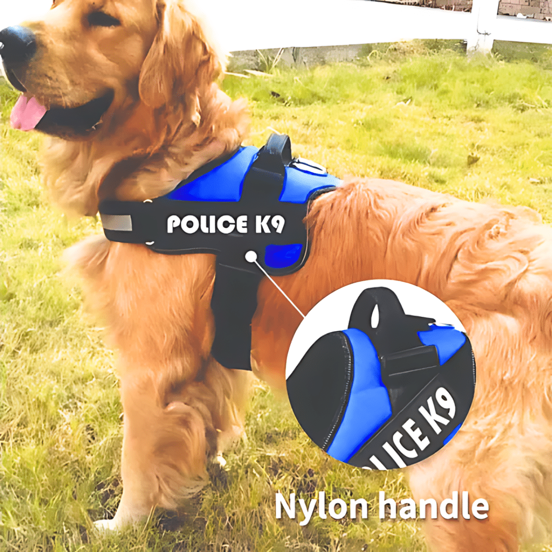 Peitoral Médio Elo K9 - Imagem 3