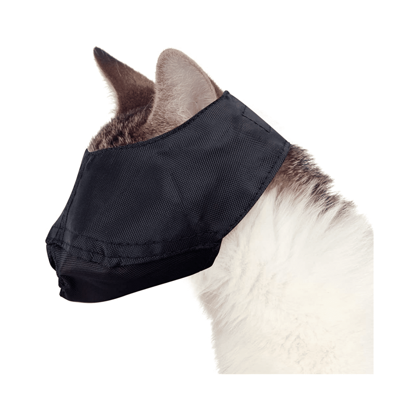 Focinheira Nylon Gato