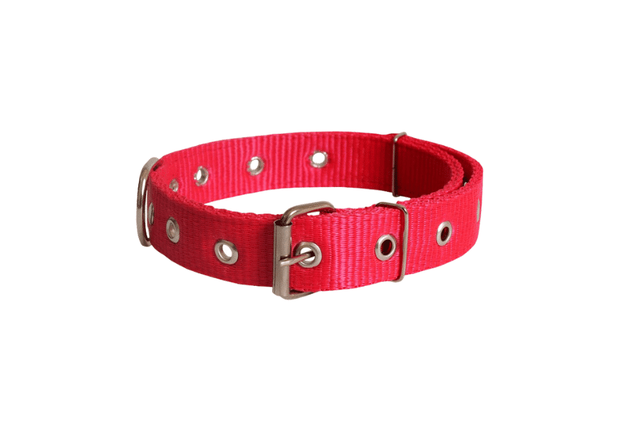 Coleira Nylon N°2 (40cm - 6 unidades)