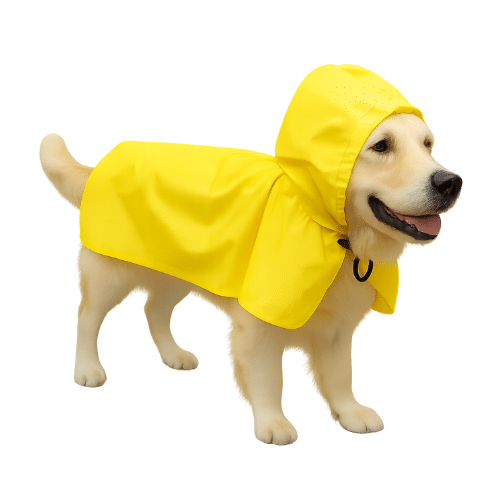 Capa de Chuva Média (54cm x 42cm)