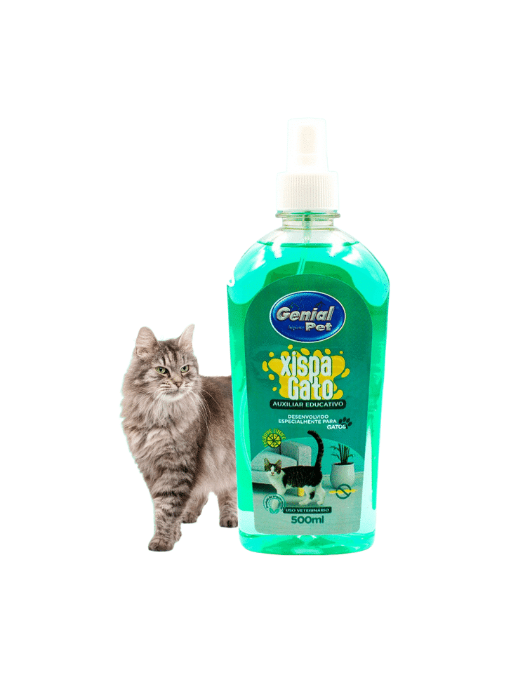 Xispa Gato (500ml)