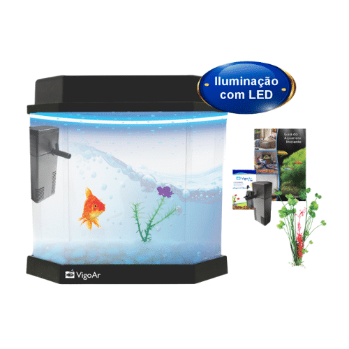 Beteira Aqua Kit 2.0 | 5,5 Litros