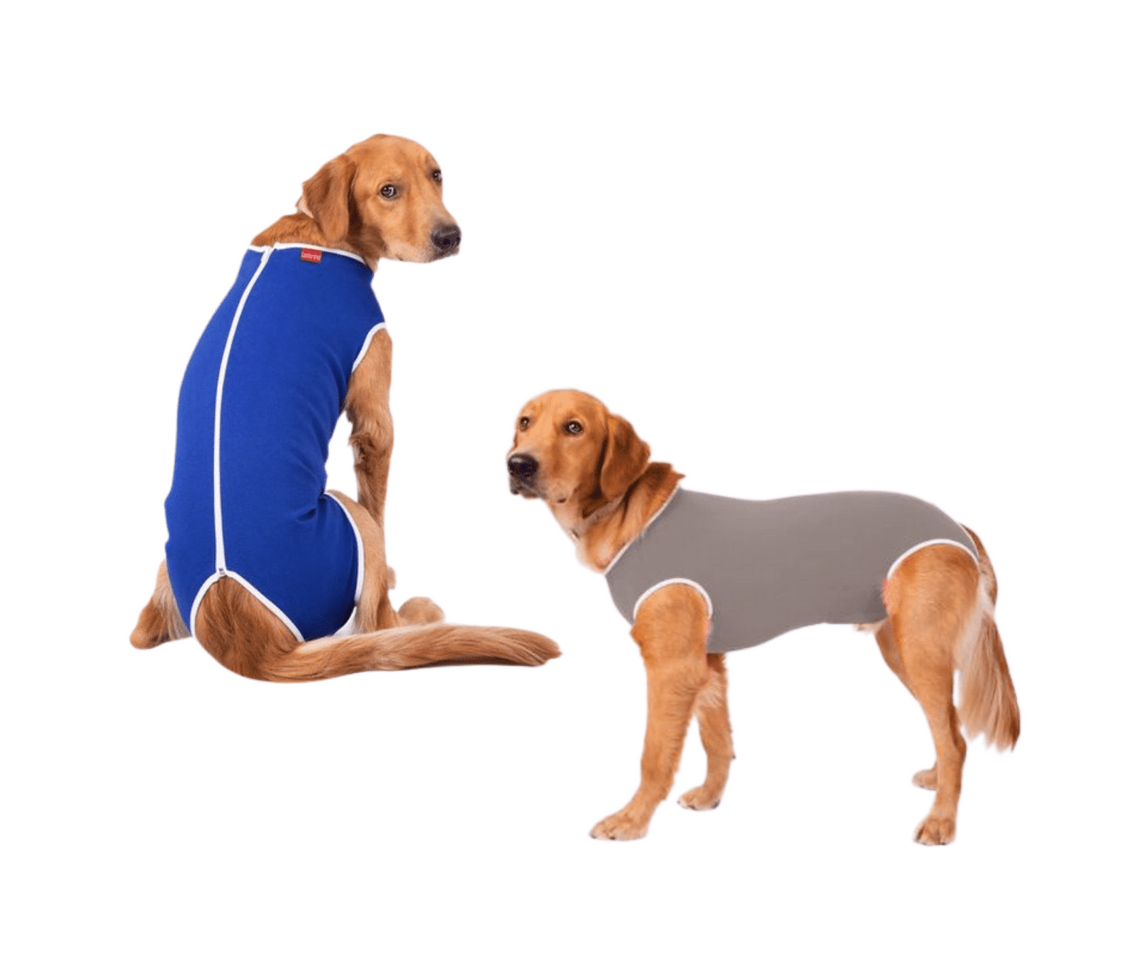 Roupa Cirúrgica Confort Cães Mescla Nº2 (2,5kg a 3,5kg)