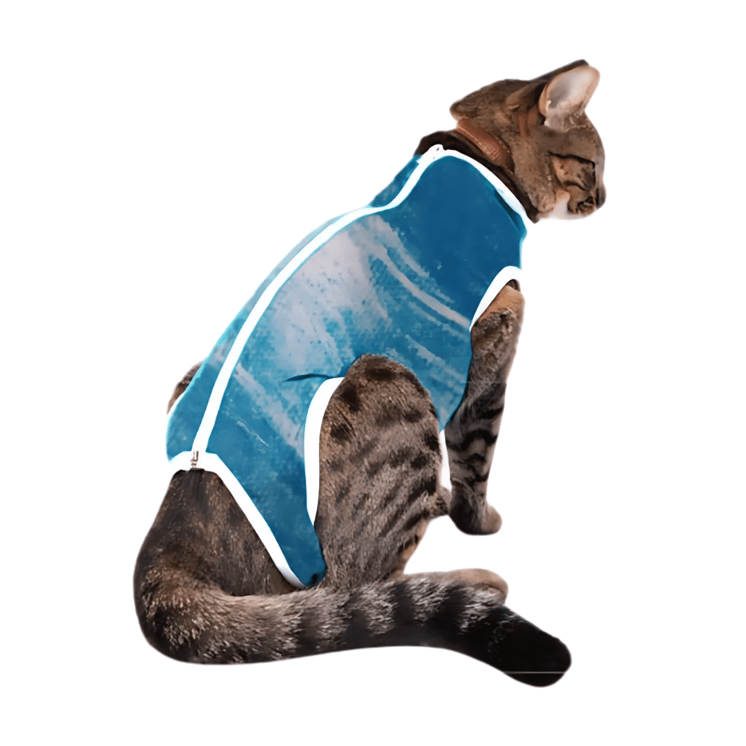 Roupa Cirúrgica Dry Gato Nº0 (1kg a 2kg)