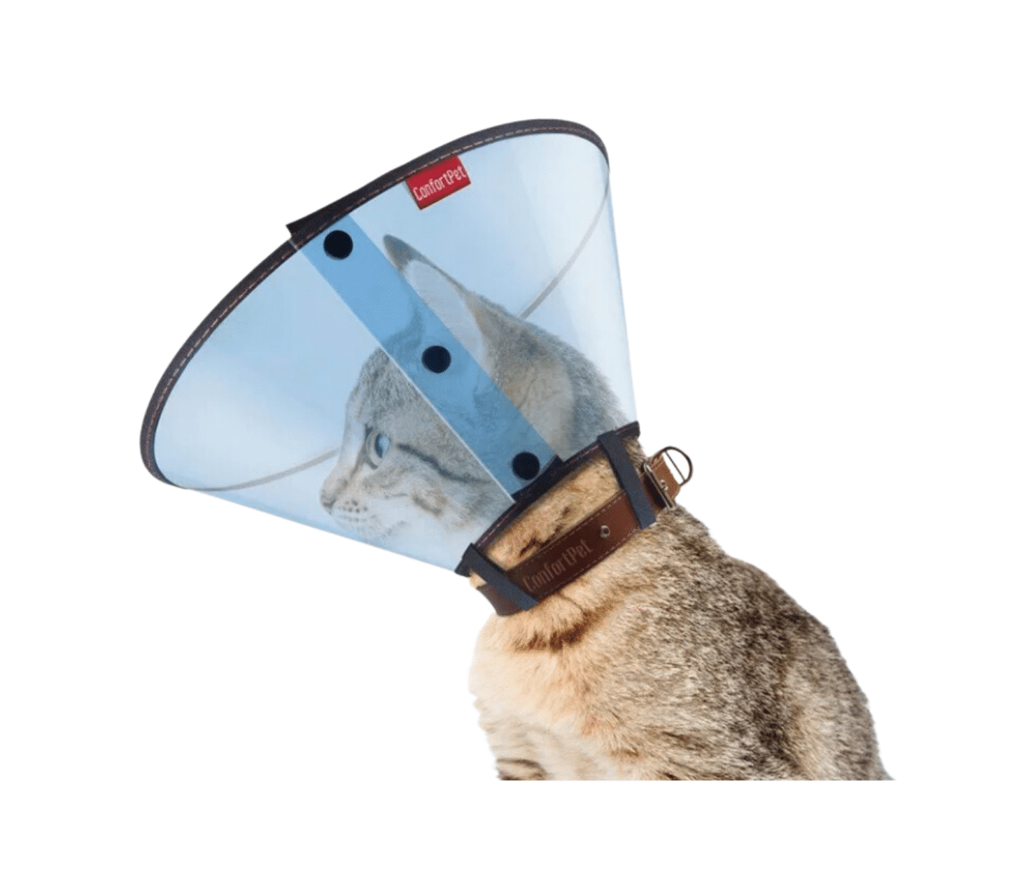 Colar Gato Azul PVC Médio (19cm)