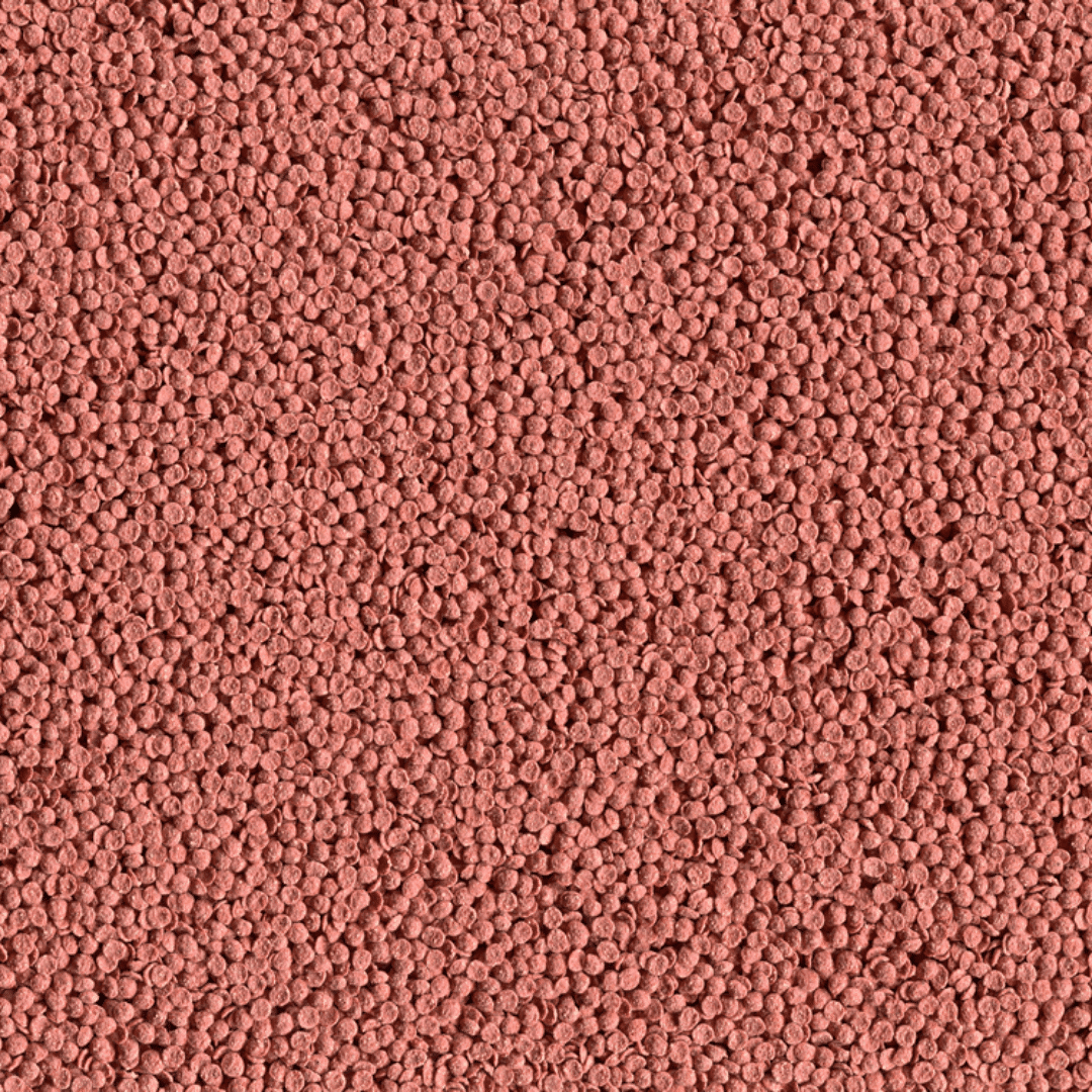 Alcon Acará Disco (105g) - Imagem 2