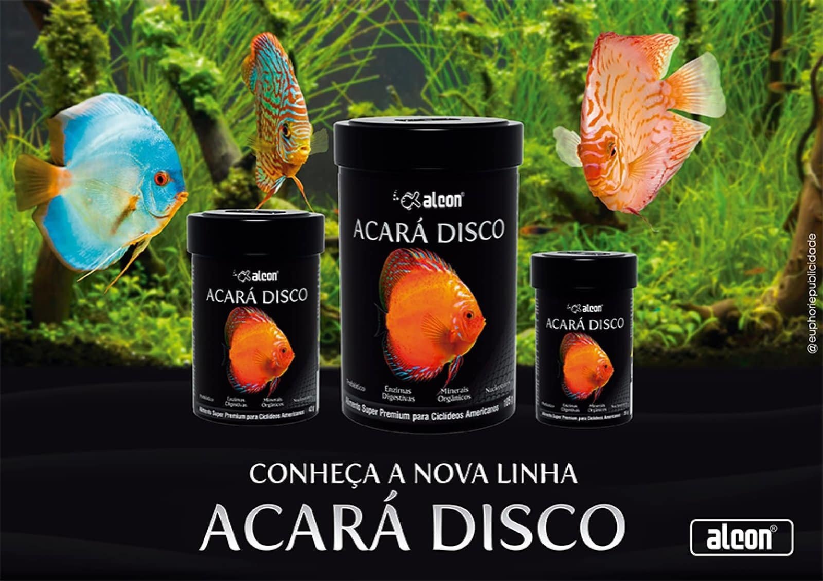 Alcon Acará Disco (105g) - Imagem 3