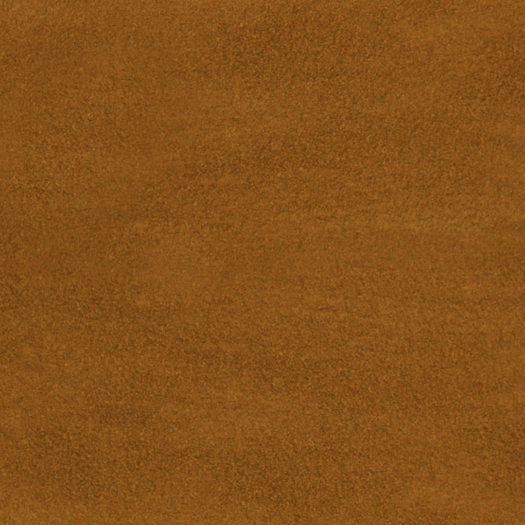 Alcon Alevinos (10g) - Imagem 2