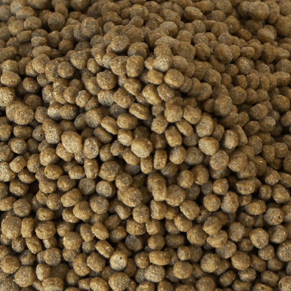 Alcon Club Jabuti Baby (100g) - Imagem 4