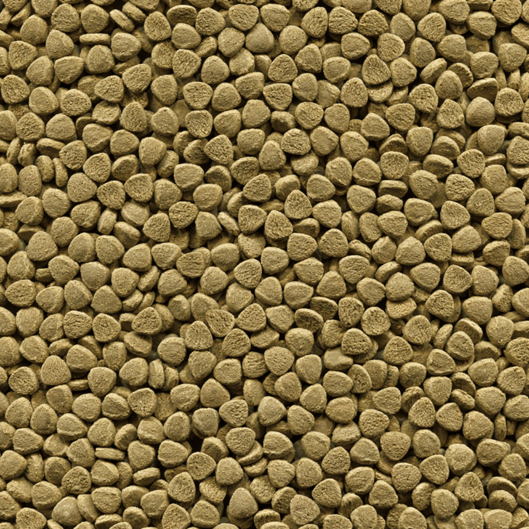Alcon Bottom Fish (50g) - Imagem 2