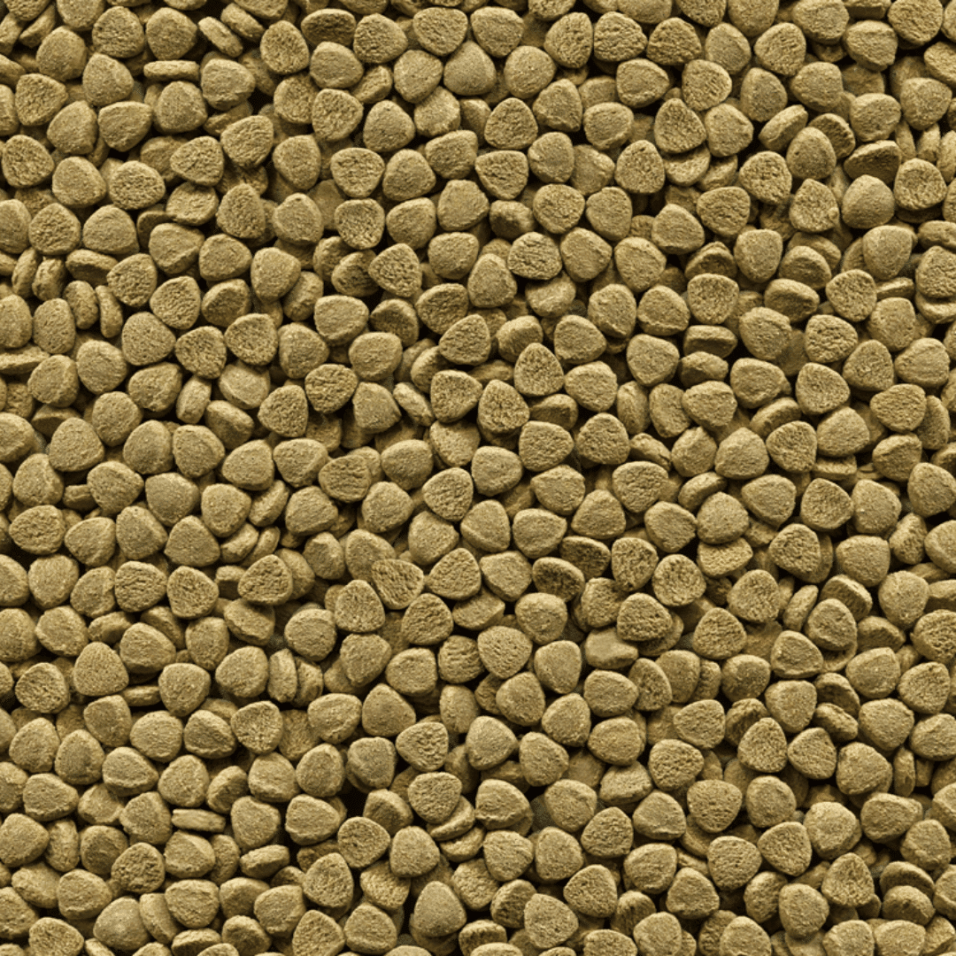 Alcon Bottom Fish (30g) - Imagem 2