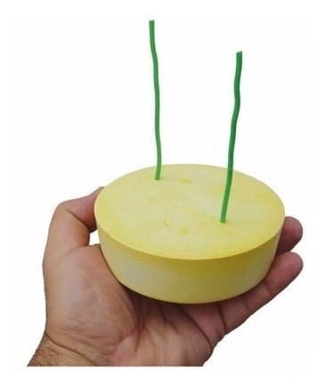 Bloco de Cálcio (10cm x 3,5cm) - Imagem 2