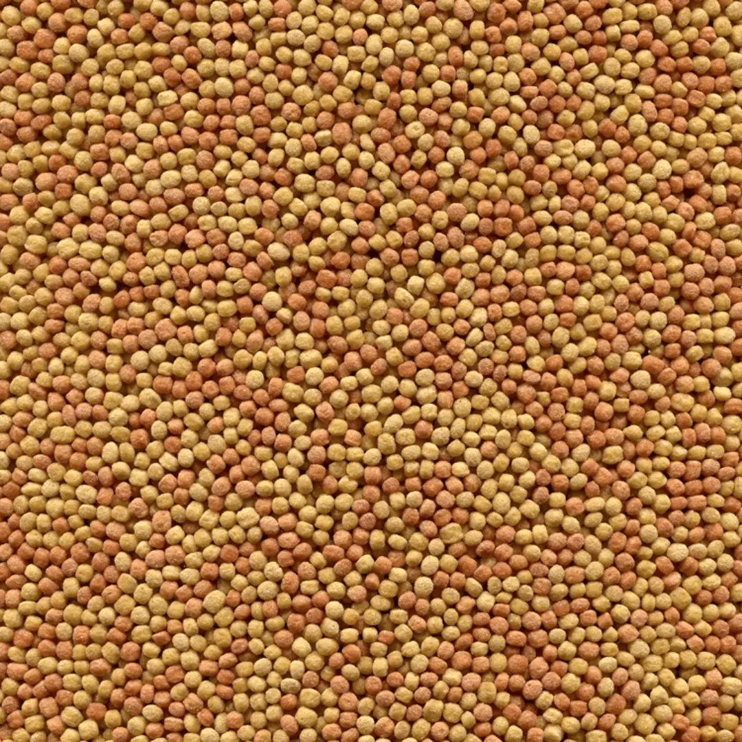 Alcon Eco Club Sabiá e Pássaro Preto (300g) - Imagem 2