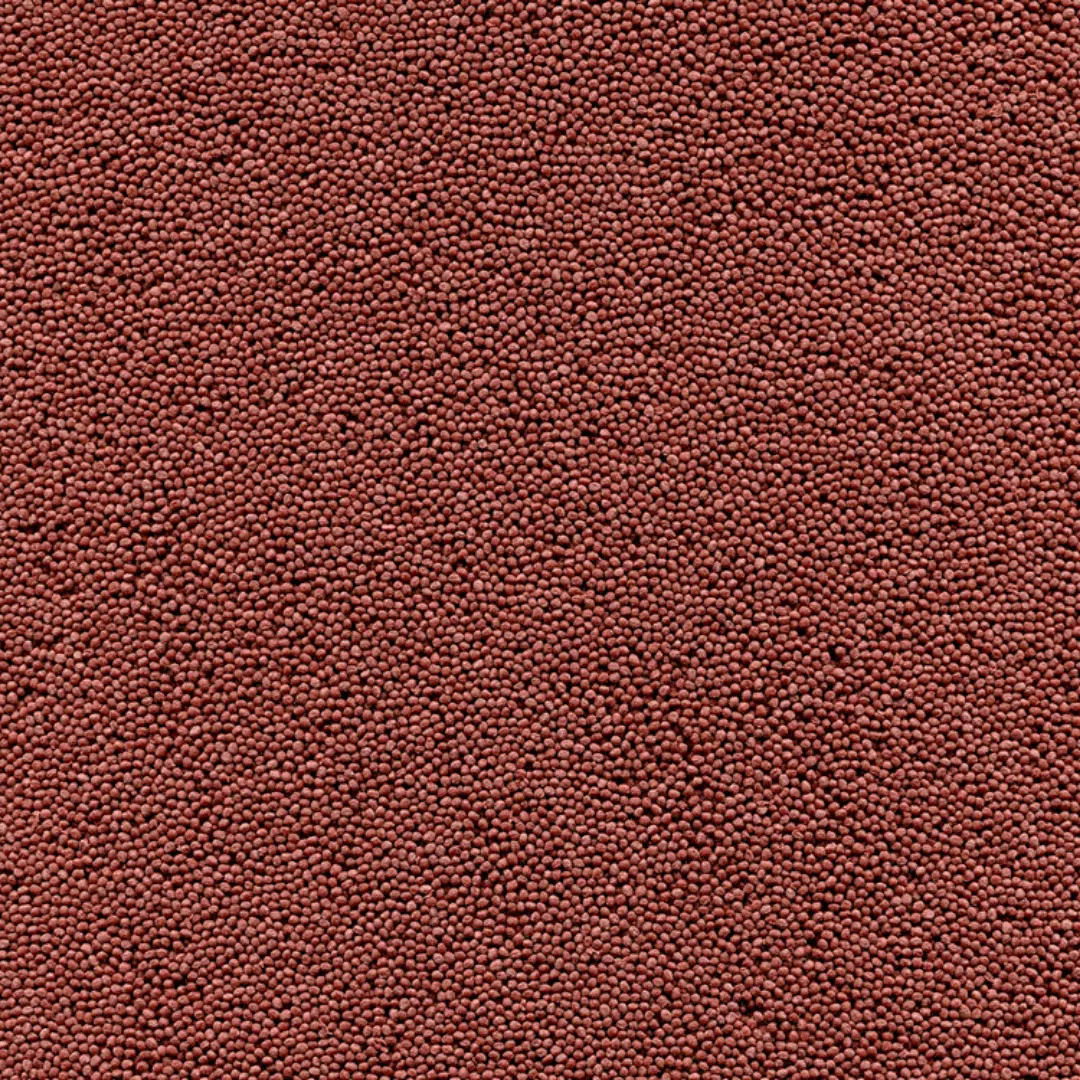 Alcon Goldfish Colour Bits (220g) - Imagem 2