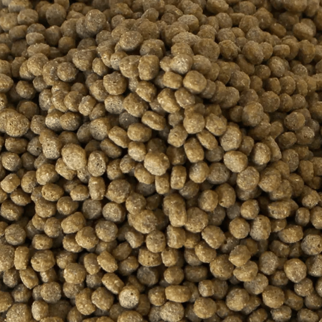Alcon Club Jabuti Baby (100g) - Imagem 2