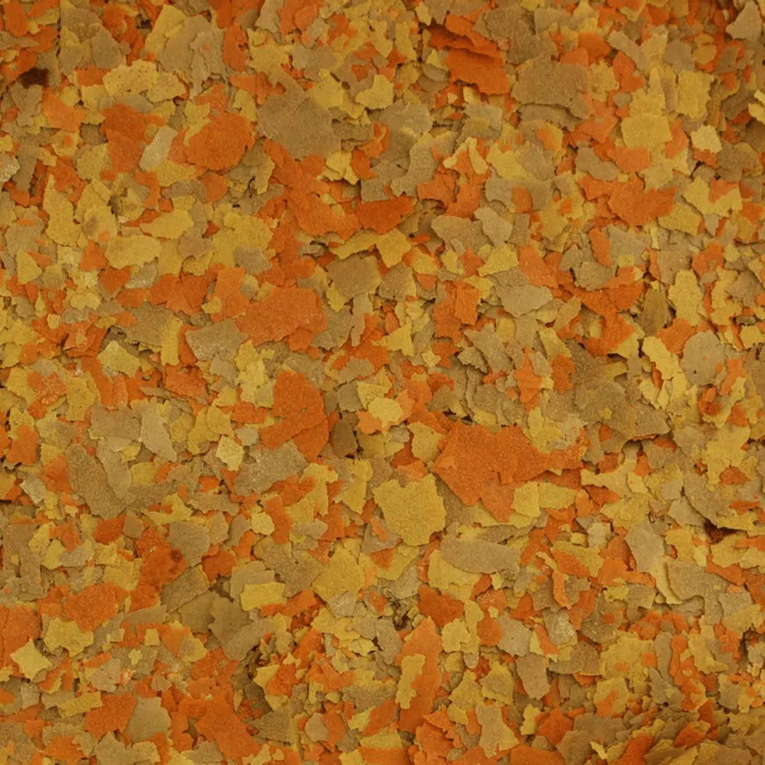 Alcon Koi (45g) - Imagem 2