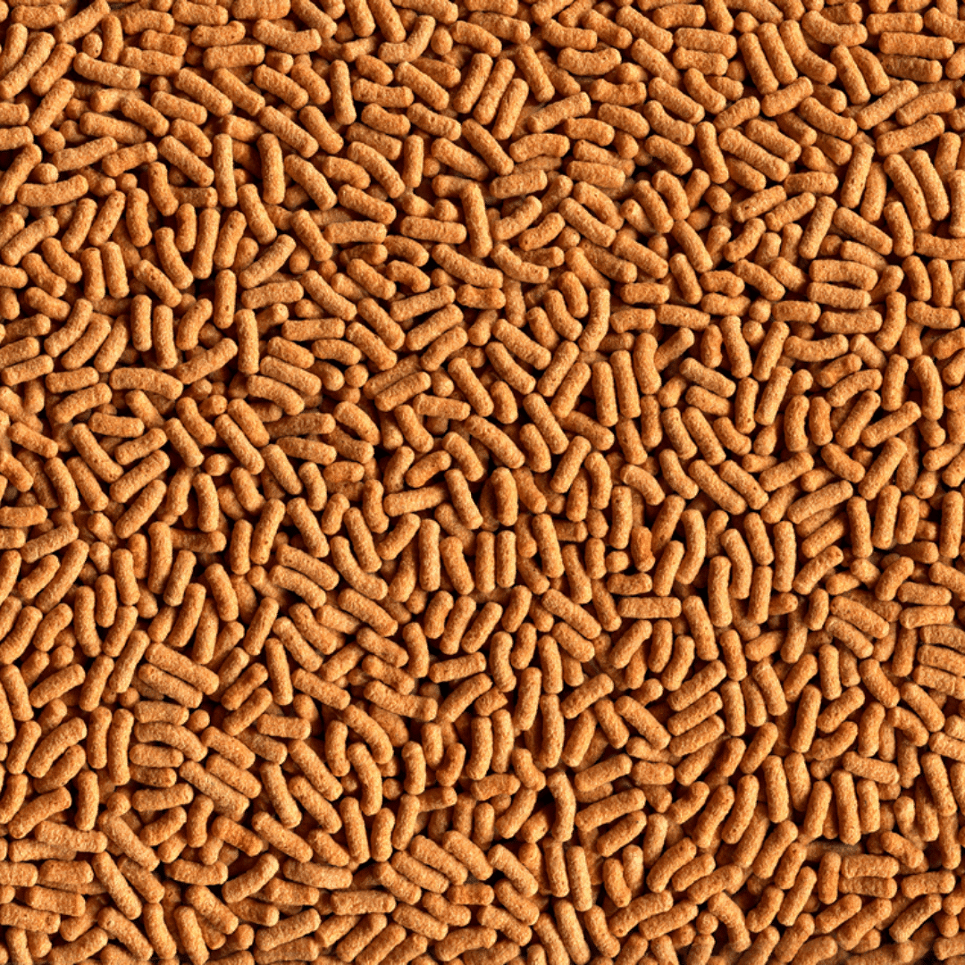 Alcon Garden Koi Colours (300g) - Imagem 2