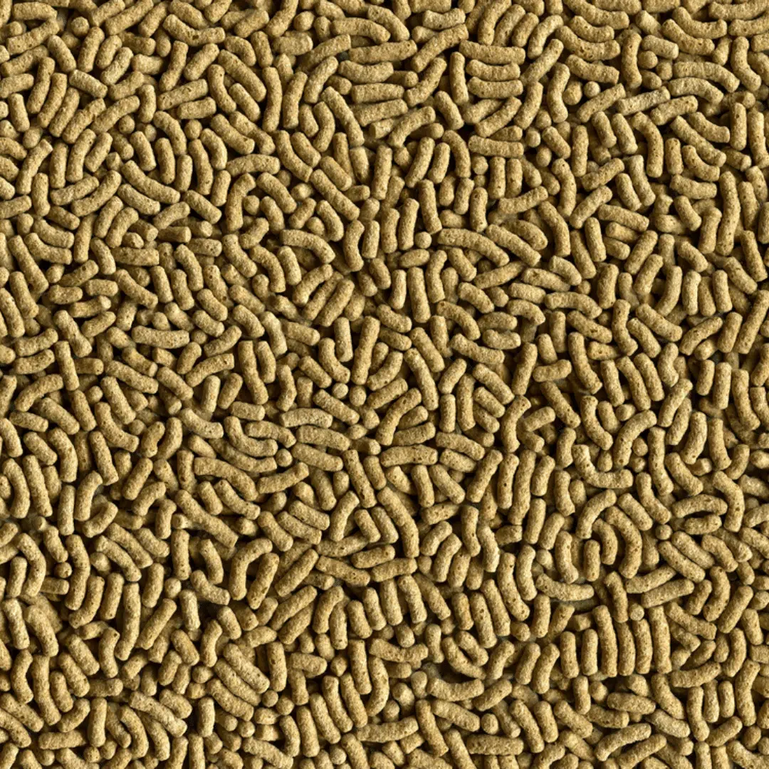 Alcon Garden Koi Crescimento (300g) - Imagem 2