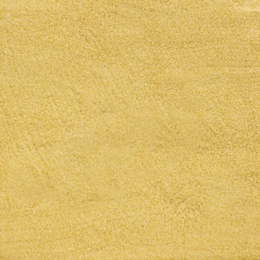 Alcon Club Papa para Filhotes Pássaros (600g) - Imagem 3