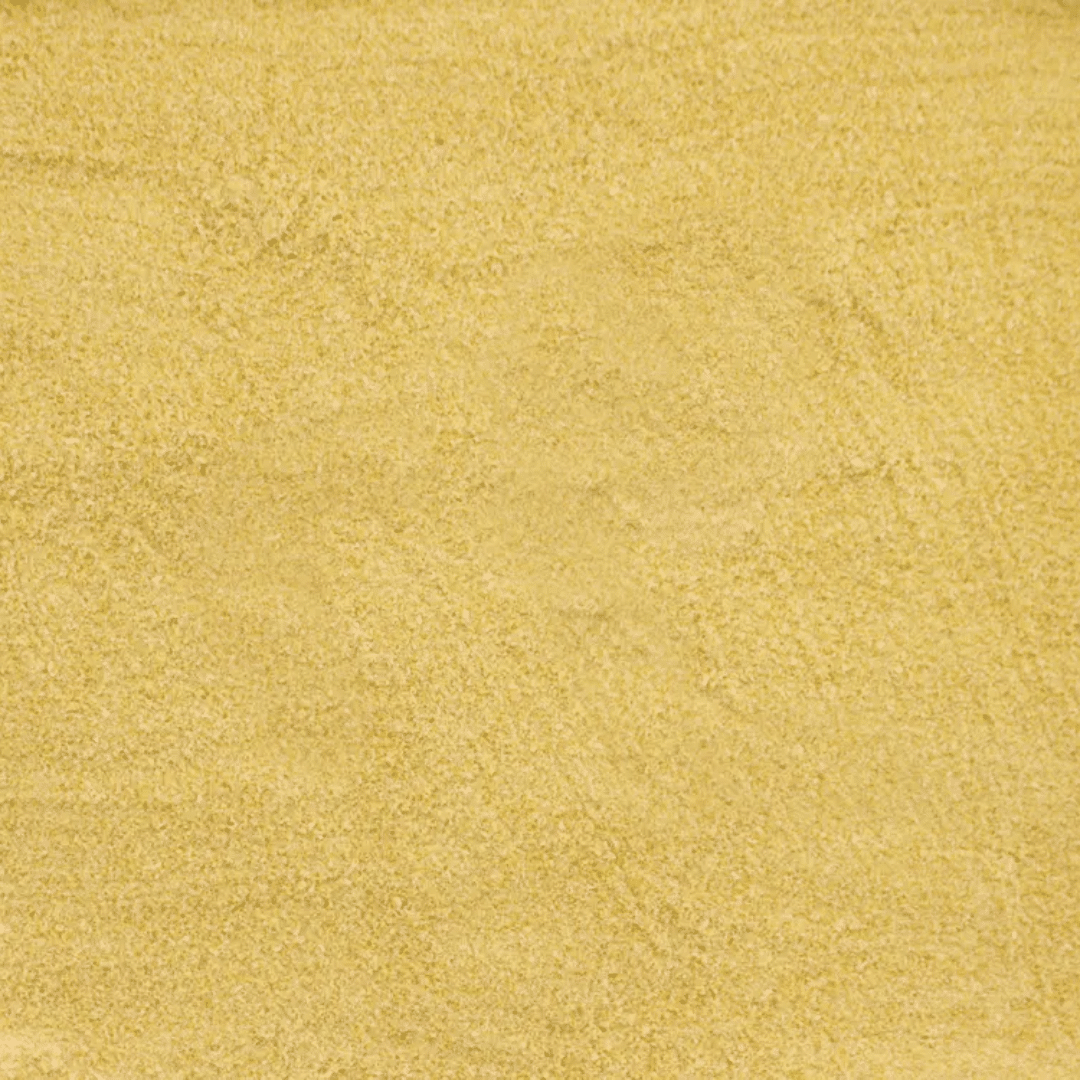 Alcon Club Papa para Filhotes Psitacídeos (600g) - Imagem 3