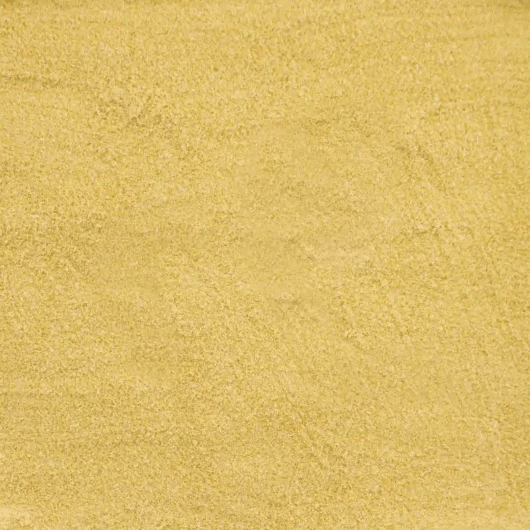 Alcon Club Papa para Filhotes Psitacídeos (6kg) - Imagem 3