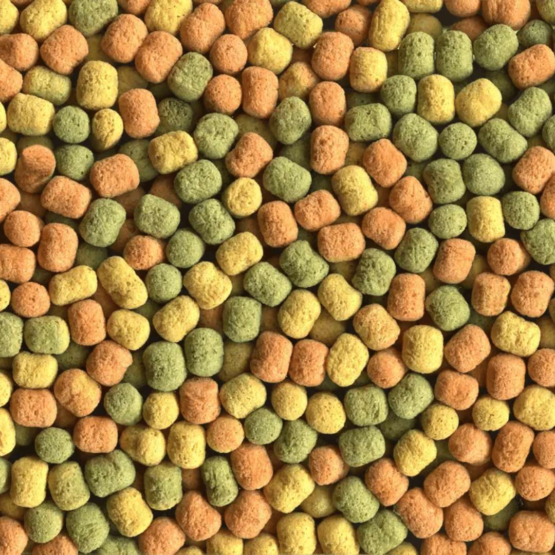 Alcon Club Psita Bits (450g) - Imagem 2