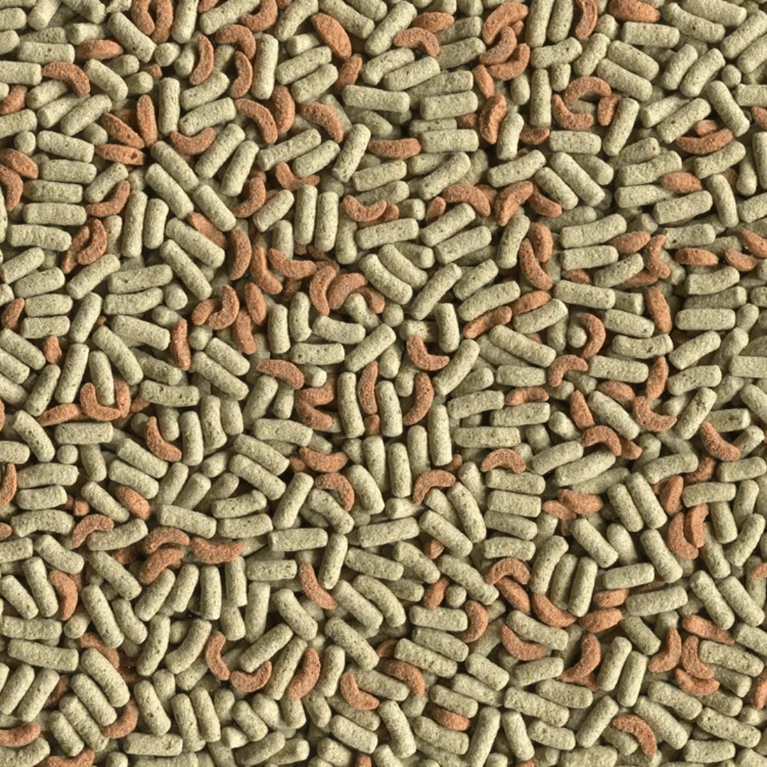 Alcon Club Jabuti Baby (100g) - Imagem 19