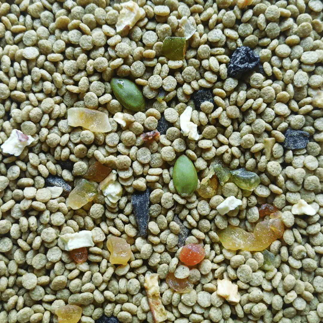 Alcon Club Ring-Neck Mix | 550g - Imagem 2